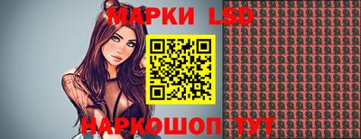 гидра Новозыбков