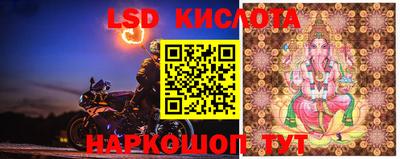 гидра Новозыбков