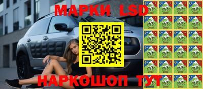 гидра Новозыбков
