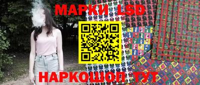 гидра Новозыбков