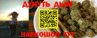 гидра Новозыбков