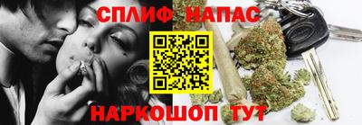 гидра Новозыбков