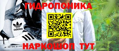 гидра Новозыбков