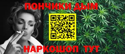 гидра Новозыбков