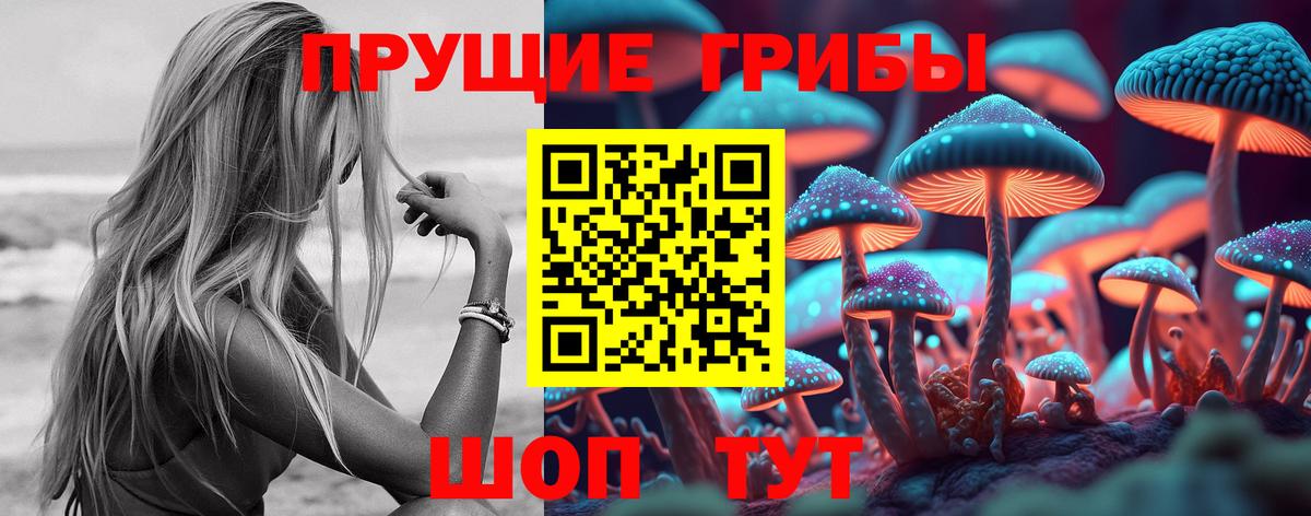 Сызрань  Псилоцибиновые грибы прущие грибы  Вход с VPN 